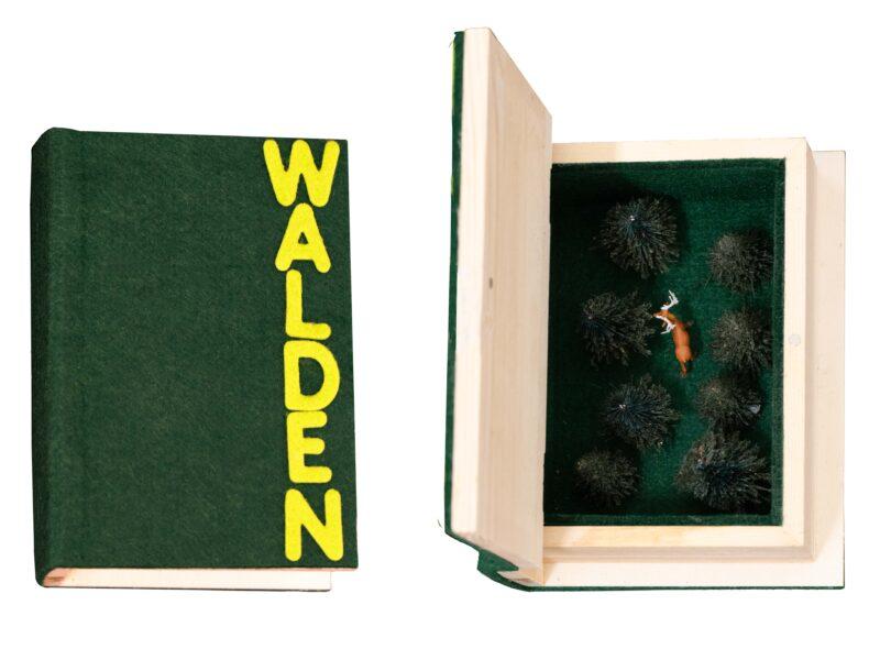 Rostrums Artists Books